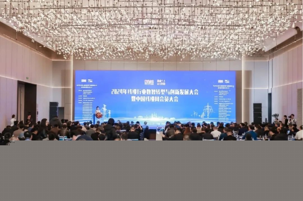 萬(wàn)馬股份榮獲“2024年度中國(guó)線(xiàn)纜行業(yè)領(lǐng)軍品牌企業(yè)”